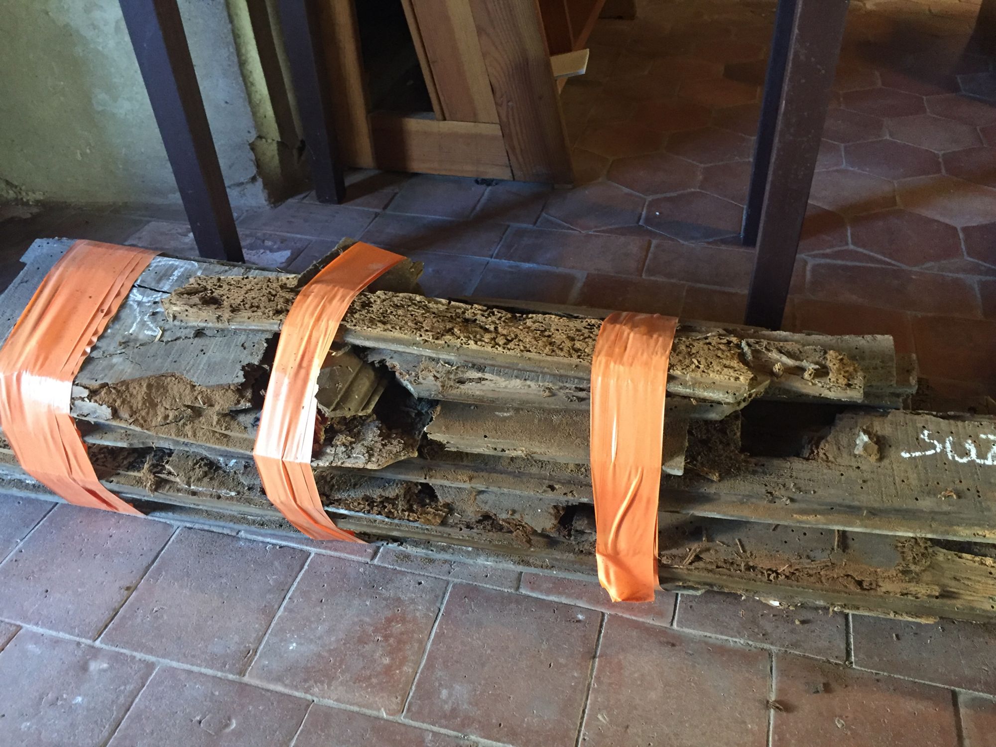 Boiseries de l’église de Cernay-la-Ville : attaqué par des moisissures, des insectes et l’humidité, le bois se décompose et tombe en miettes.