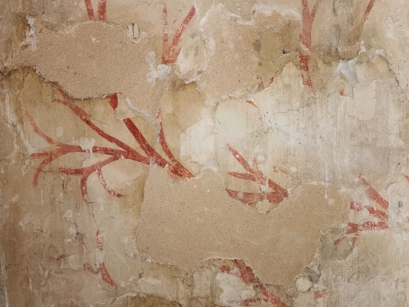 Comblement des lacunes à l'aide d'un enduit teinté ©Céline Maujaret-Guiné, 2021