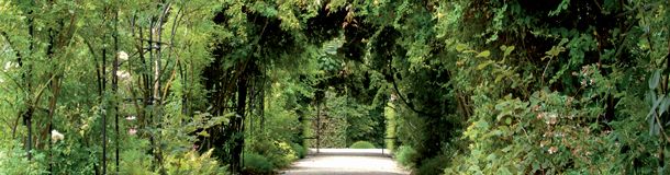 J'ai descendu dans mon jardin